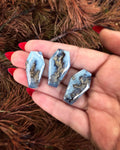 Graveyard Plume Agate Coffin Ring Preorder